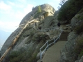 Sequoia NP